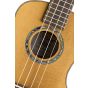 Baton Rouge UTM-C Flamed Maple Concert Ukulele sku number 155205