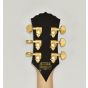 Wylde Audio Goregehn Blood River Burl Guitar B0118 sku number SCHECTER4578-B0118