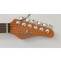 Schecter PT Special Guitar Purple Burst Pearl sku number SCHECTER667