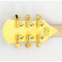 Wylde Audio Odin Grail Genesis Bullseye Guitar B-Stock 0019 sku number SCHECTER4513-B0019