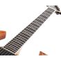 Wylde Audio Berzerker Corridors Electric Guitar sku number SCHECTER4583