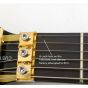 Wylde Audio Odin Grail Genesis Bullseye Guitar B-Stock 0009 sku number SCHECTER4513-B0009