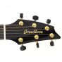 Breedlove Oregon Concert CE Myrtlewood Special Edition Guitar sku number ORCN01CEMYMY-SE