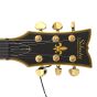 Schecter Solo-II Custom Guitar Aged Black Satin B-Stock 1319 sku number SCHECTER658-B1319