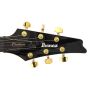 Ibanez FRM350 Paul Gilbert Guitar Black B-Stock sku number FRM350BK-B0102