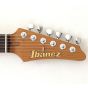 Ibanez MMN1TAB Martin Miller Signature Guitar B-Stock sku number MMN1TAB-B3627