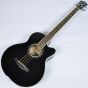 Ibanez AEB10E-BK Artwood Series Acoustic Electric Bass in Black High Gloss Finish sku number AEB10EBK.B