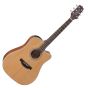 Takamine GD20CE-NS G-Series G20 Cutaway Acoustic Electric Guitar in Natural Finish sku number TAKGD20CENS