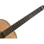 Takamine TLD-M2 Solid Spruce Top Figured Myrtle Back Limited Edition Guitar sku number TAKTLDM2