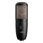 AKG P420 High Performance Dual Capsule True Condenser Microphone sku number 3101H00430