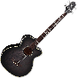 Takamine PB5 SBL Pro Series Acoustic Guitar in See Thru Black sku number TAKPB5SBL