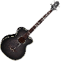 Takamine PB5 SBL Pro Series Acoustic Guitar See Thru Black B-Stock sku number TAKPB5SBL.B