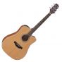Takamine GD20CE-NS G-Series G20 Cutaway Acoustic Electric Guitar Natural B-Stock sku number TAKGD20CENS.B