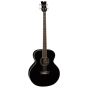 Dean Acoustic Electric Bass Fretless CBK EAB FL CBK sku number EAB FL CBK