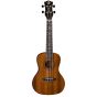 Luna Uke Vintage Mahogany Concert Pack UKE VMC PACK sku number UKE VMC PACK