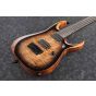 Ibanez RGD71AL ANB RGD Axion Label 7 String Antique Brown Stained Burst Electric Guitar sku number RGD71ALANB