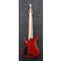 Ibanez RGIR9FME FDF RG Iron Label 9 String 28" scale Faded Denim Burst Flat Electric Guitar sku number RGIR9FMEFDF