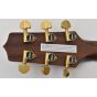 Takamine Custom Shop SG-CPD-AC1 Solid Adirondack Spruce Acoustic Guitar sku number TAKSGCPDAC1