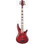 Ibanez Adam Nitti Signature 5 String Electric Bass Guitar sku number ANB205TWB