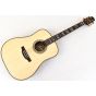 Takamine Custom Shop SG-CPD-AC1 Acoustic Guitar SN #5 sku number TAKSGCPDAC1-5
