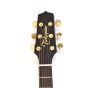 Takamine P5NC-TRIAX Pro Series 5 Cutaway Acoustic Guitar Natural Gloss sku number TAKP5NCTRIAX