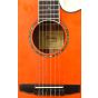 Ibanez AEG10NII Classical Acoustic Electric Guitar Tangerine B-Stock 0677 sku number AEG10NIITNG.B 0677