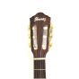 Ibanez AEG10NII Classical Acoustic Electric Guitar Tangerine B-Stock 0677 sku number AEG10NIITNG.B 0677