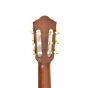 Ibanez AEG10NII Classical Acoustic Electric Guitar Tangerine B-Stock 0677 sku number AEG10NIITNG.B 0677