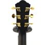 Ibanez AEG240 Thinline Acoustic Electric Trans Black Sunburst B-Stock 1185 sku number AEG240TKS.B 1185