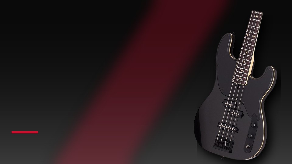 Schecter Michael Anthony